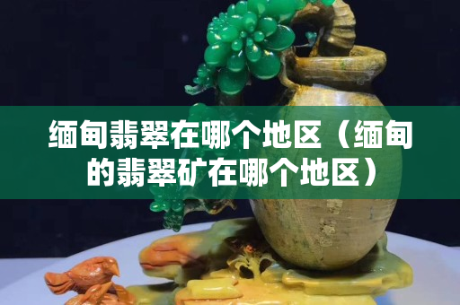 缅甸翡翠在哪个地区（缅甸的翡翠矿在哪个地区）