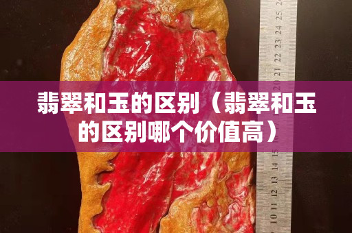 翡翠和玉的区别（翡翠和玉的区别哪个价值高）