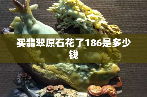 买翡翠原石花了186是多少钱