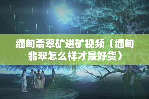 缅甸翡翠矿进矿视频（缅甸翡翠怎么样才是好货）