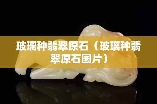 玻璃种翡翠原石（玻璃种翡翠原石图片）