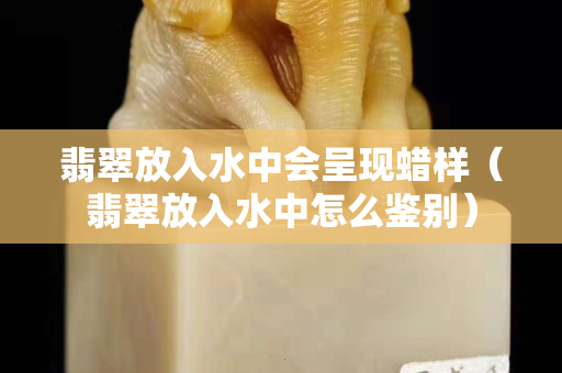 翡翠放入水中会呈现蜡样（翡翠放入水中怎么鉴别）