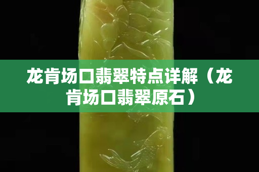 龙肯场口翡翠特点详解（龙肯场口翡翠原石）