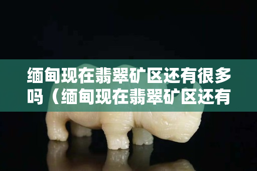 缅甸现在翡翠矿区还有很多吗（缅甸现在翡翠矿区还有很多吗）