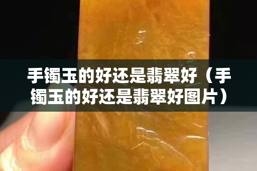 手镯玉的好还是翡翠好（手镯玉的好还是翡翠好图片）