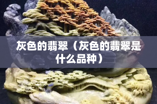 灰色的翡翠（灰色的翡翠是什么品种）