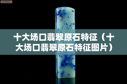 十大场口翡翠原石特征（十大场口翡翠原石特征图片）