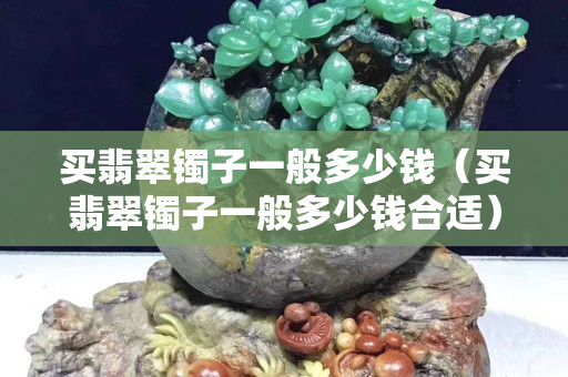 买翡翠镯子一般多少钱（买翡翠镯子一般多少钱合适）