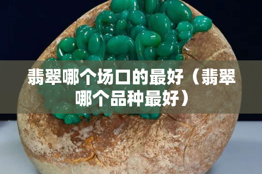 翡翠哪个场口的最好（翡翠哪个品种最好）