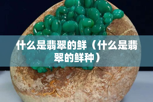 什么是翡翠的鲜（什么是翡翠的鲜种）