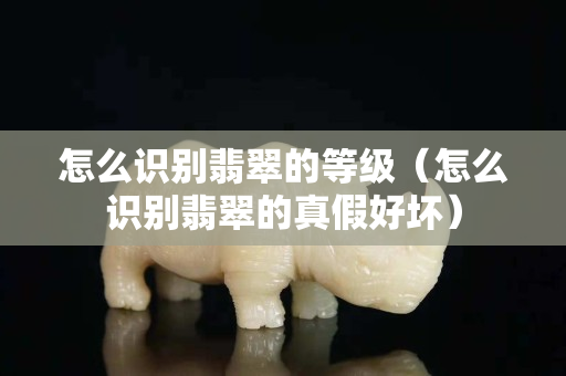 怎么识别翡翠的等级（怎么识别翡翠的真假好坏）
