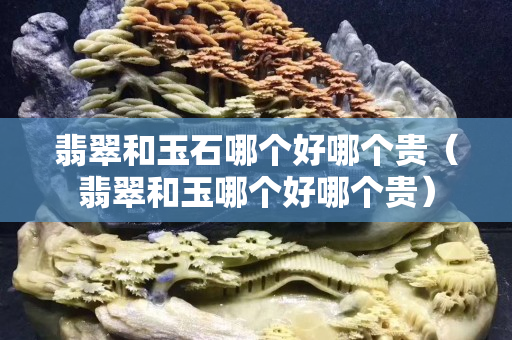 翡翠和玉石哪个好哪个贵（翡翠和玉哪个好哪个贵）