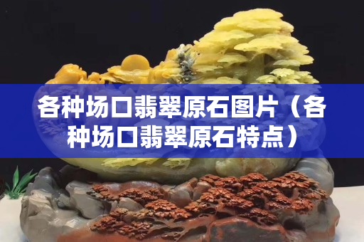 各种场口翡翠原石图片（各种场口翡翠原石特点）