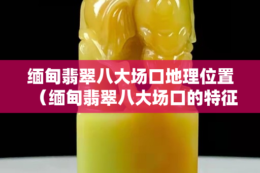 缅甸翡翠八大场口地理位置（缅甸翡翠八大场口的特征）