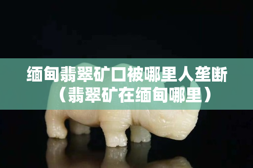 缅甸翡翠矿口被哪里人垄断（翡翠矿在缅甸哪里）