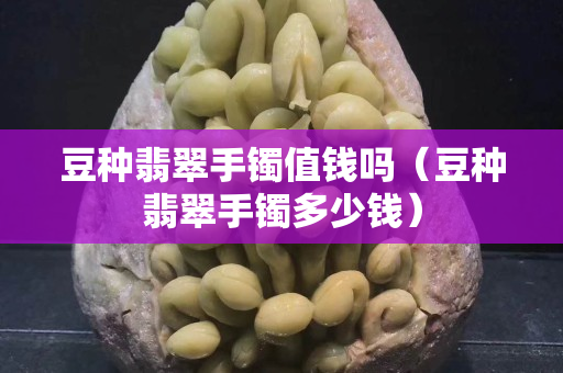 豆种翡翠手镯值钱吗（豆种翡翠手镯多少钱）