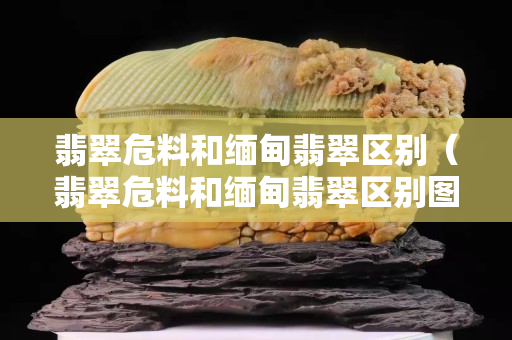 翡翠危料和缅甸翡翠区别（翡翠危料和缅甸翡翠区别图片对比）