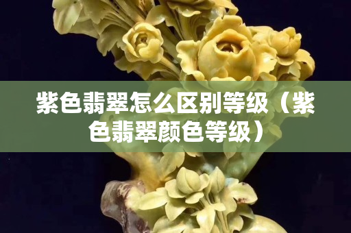 紫色翡翠怎么区别等级（紫色翡翠颜色等级）