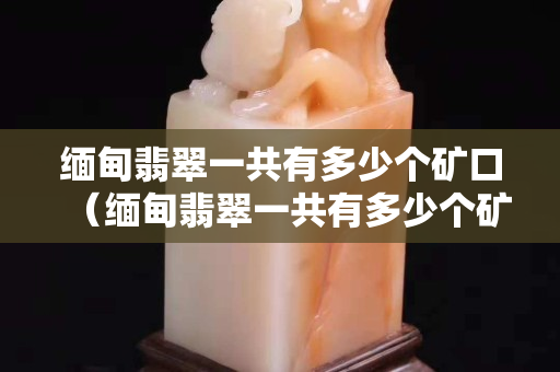 缅甸翡翠一共有多少个矿口（缅甸翡翠一共有多少个矿口）