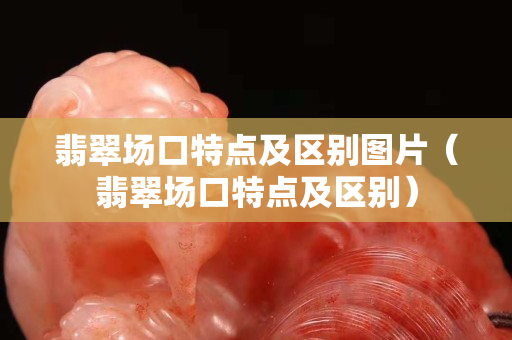 翡翠场口特点及区别图片（翡翠场口特点及区别）
