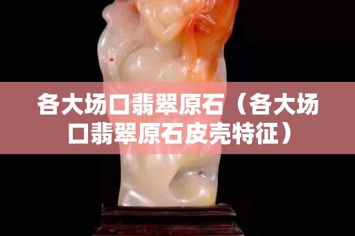 各大场口翡翠原石（各大场口翡翠原石皮壳特征）