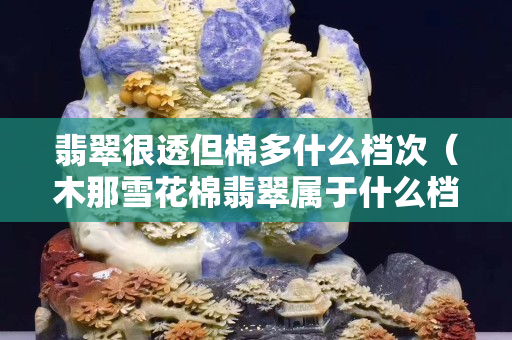 翡翠很透但棉多什么档次（木那雪花棉翡翠属于什么档次）