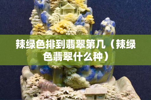 辣绿色排到翡翠第几（辣绿色翡翠什么种）