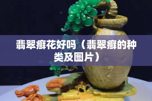 翡翠癣花好吗（翡翠癣的种类及图片）