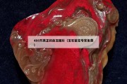 480万真正的血玉图片（玉石鉴定专家免费）