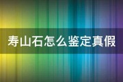 寿山石怎么鉴定真假,寿山石怎么鉴定好坏