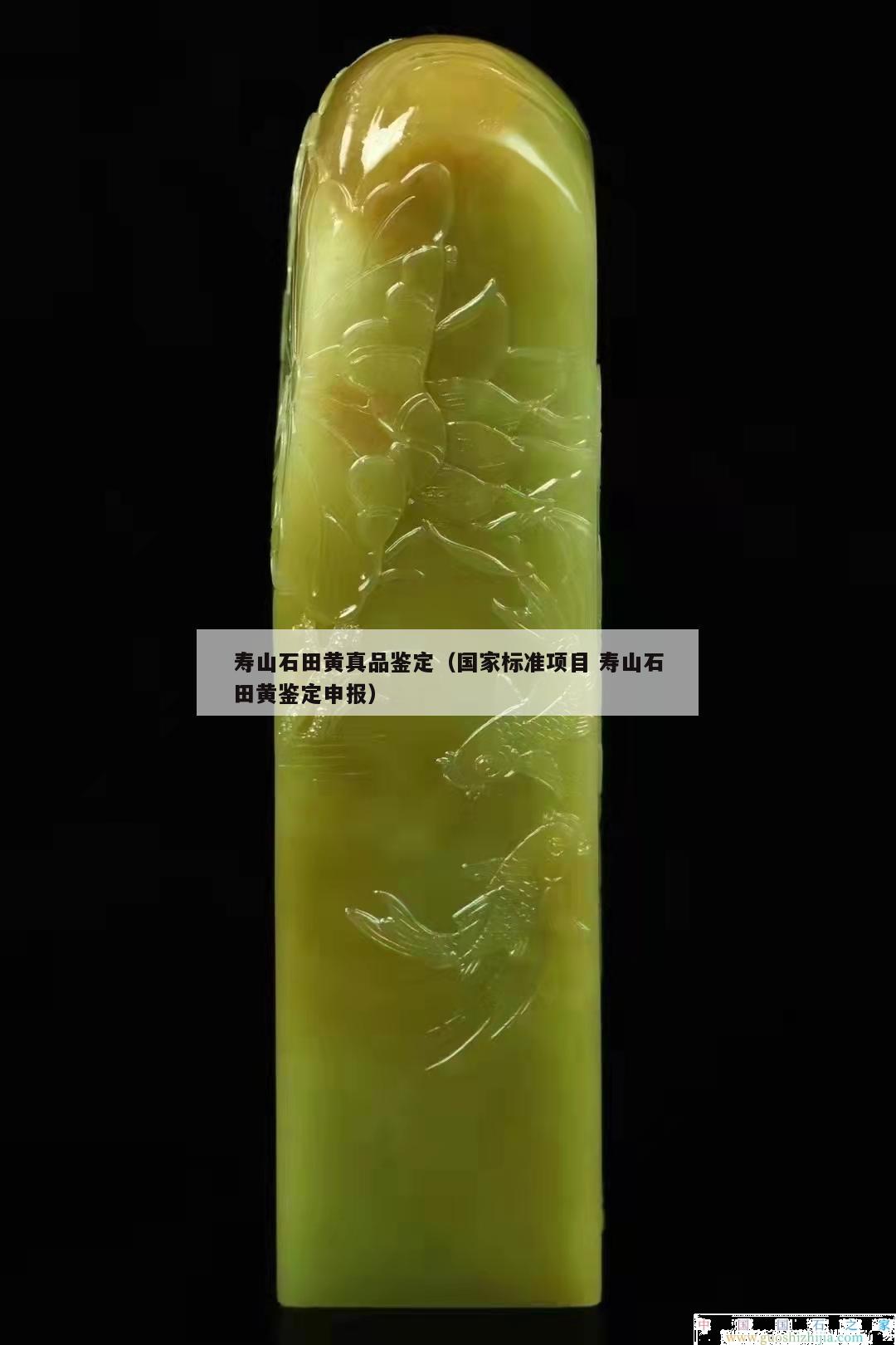 寿山石田黄真品鉴定（国家标准项目 寿山石田黄鉴定申报）